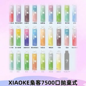 梟客XIAOKE|7500口可發光拋棄式電子煙 跑馬燈一次性