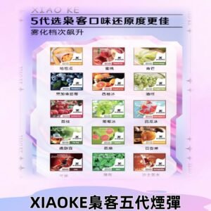 梟客五代煙彈|XIAOKE可替換式電子煙|通用Relx6代|ILIA五代主機